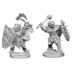 D&D Nolzur's Marvelous Miniatures - Dragonborn Male Paladin