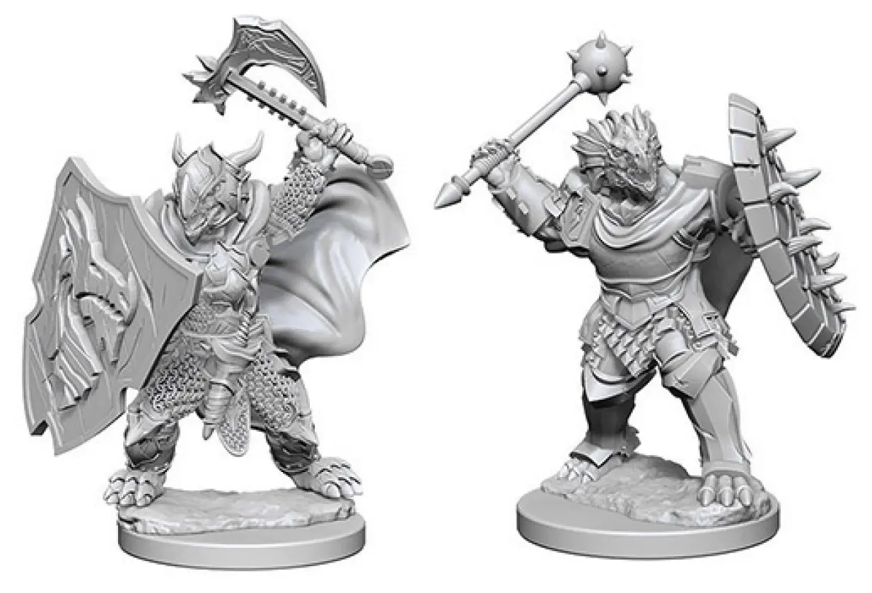 D&D Nolzur's Marvelous Miniatures - Dragonborn Male Paladin