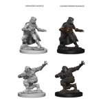 Pathfinder Deep Cuts Unpainted Miniatures - Human Male Rogue 