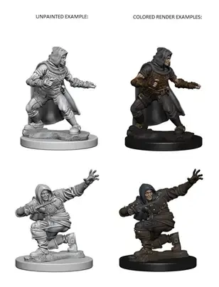 Pathfinder Deep Cuts Unpainted Miniatures - Human Male Rogue 