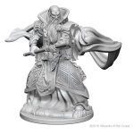 D&D Nolzur's Marvelous Unpainted Miniatures - Human Male Wizard 