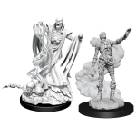 D&D Nolzur's Marvelous Miniatures - Lich & Mummy Lord