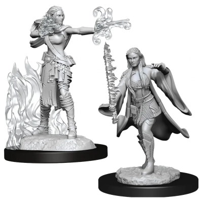 D&D Nolzur's Marvelous Miniatures - Multiclass Warlock + Sorcerer Female