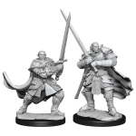 D&D Nolzur's Marvelous Miniatures: Half-Orc Paladin Male (2 Units) - EN