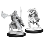 D&D Nolzur's Marvelous Miniatures: Winter Eladrin & Spring Eladrin (2 Units) - EN