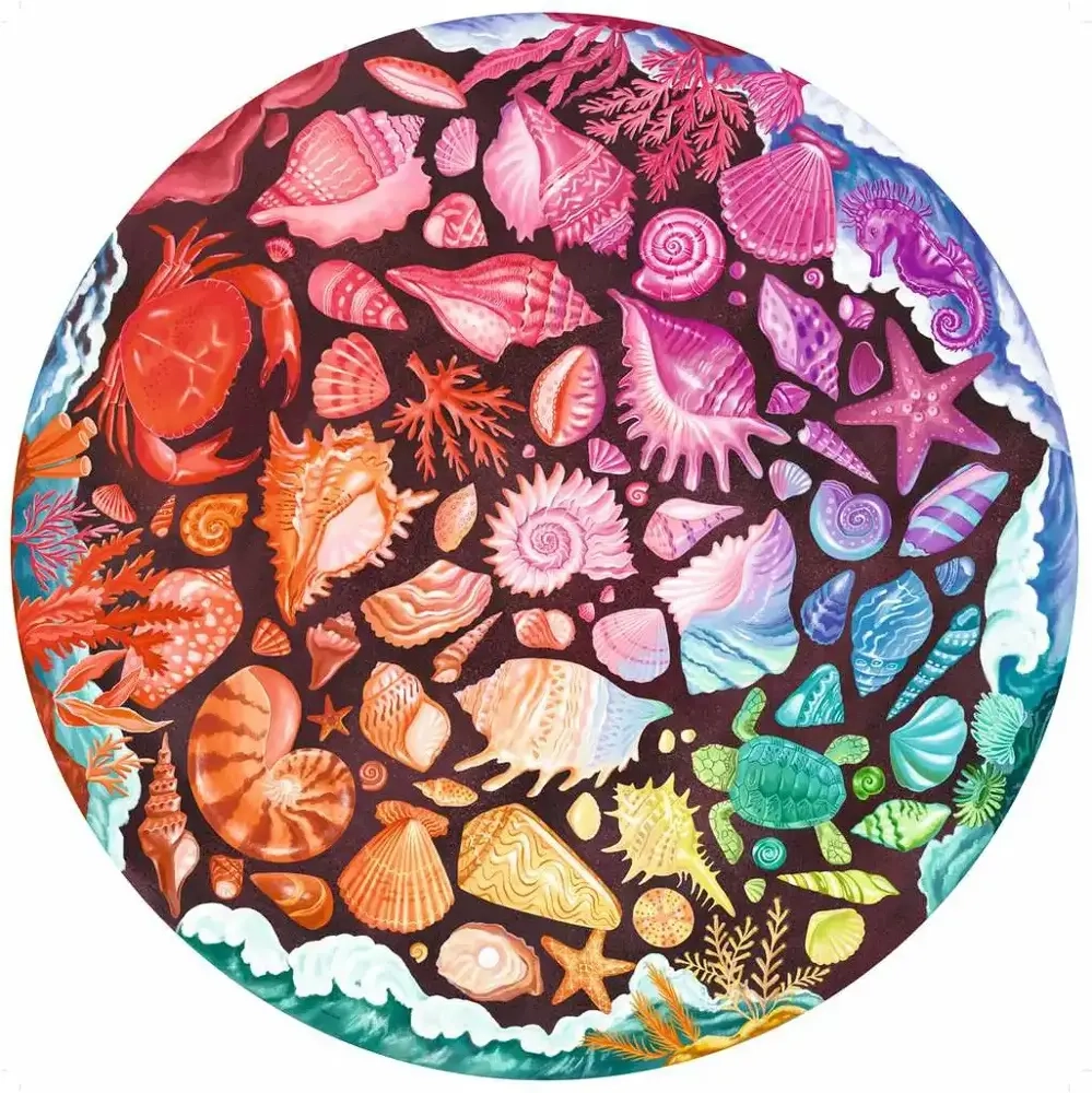 Circle of colors - Seashells