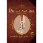 Dr. Livingstons Anatomiepuzzle: Das rechte Bein