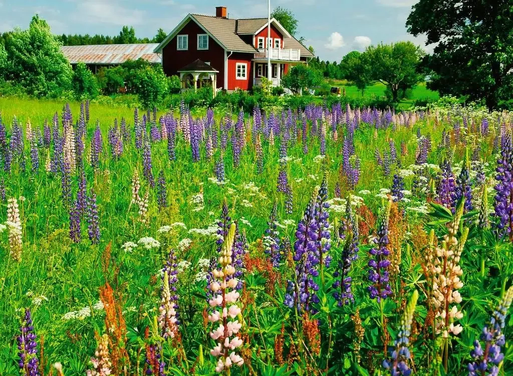 Bauernhof in Schweden - Scandinavian Places