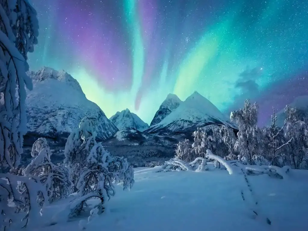 Wenn die Nordlichter tanzen - power of nautres