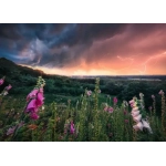 Ein Sturm zieht auf - power of nature