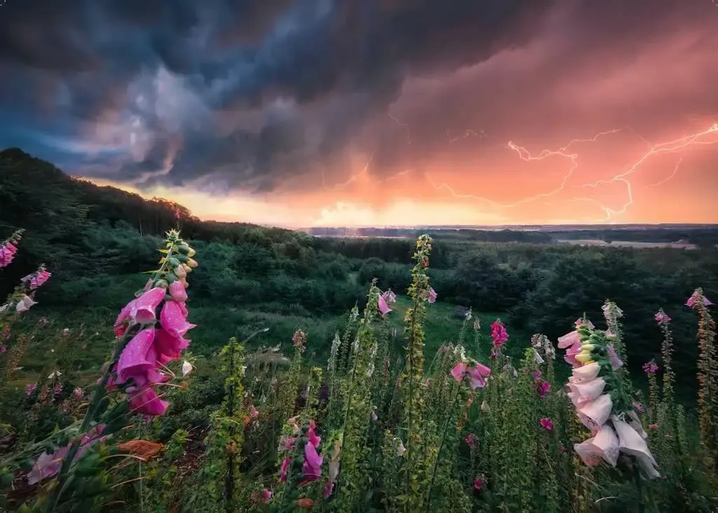 Ein Sturm zieht auf - power of nature