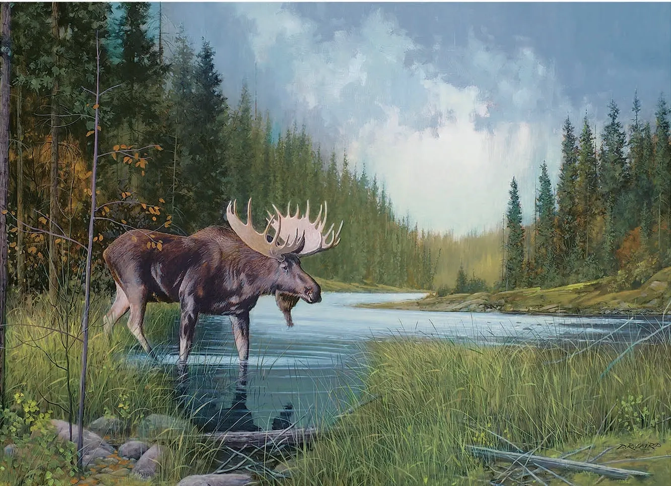 Moose Lake - Douglas Laird