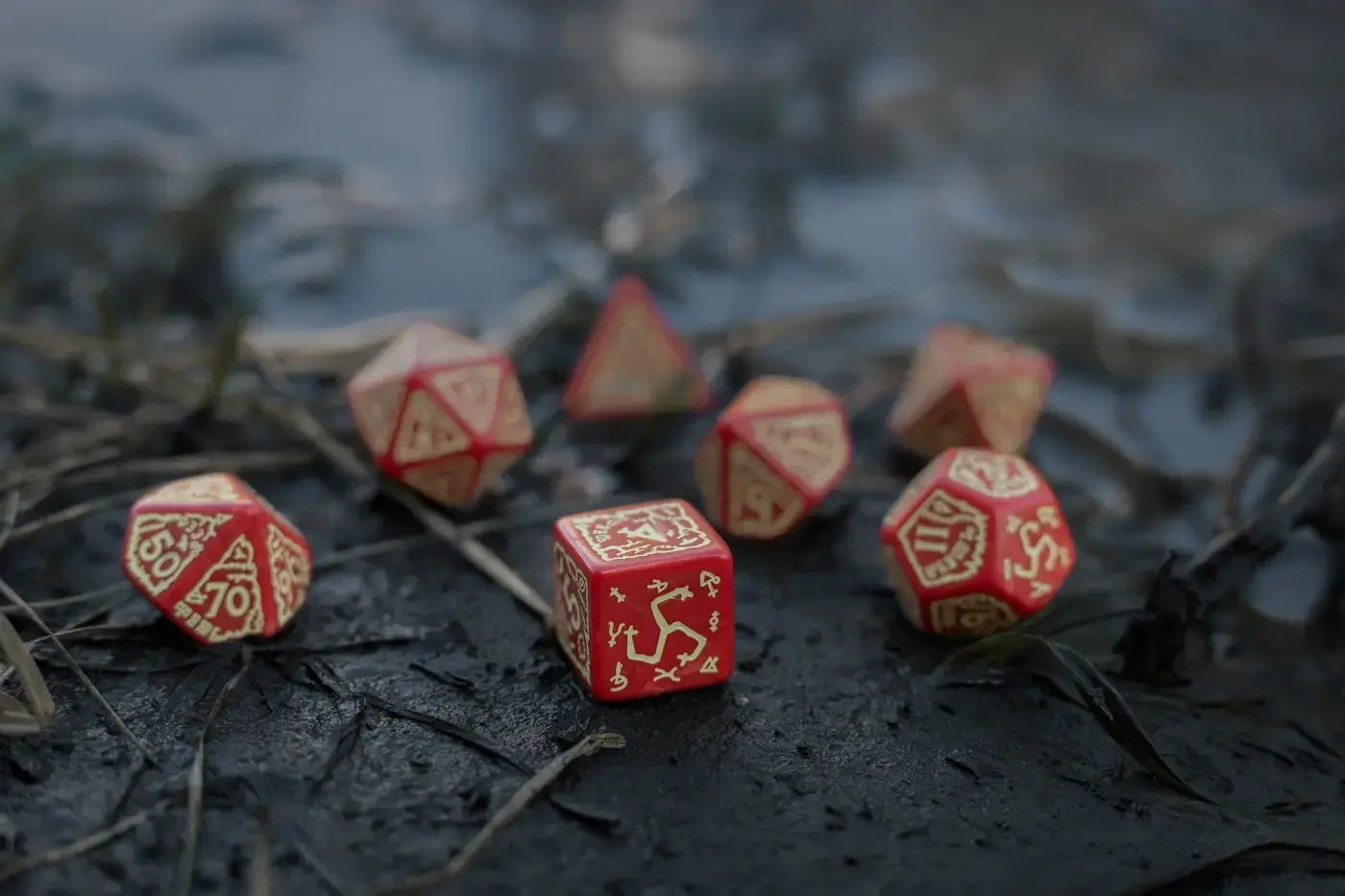 The Witcher Dice Set: Crones – Brewess (7)