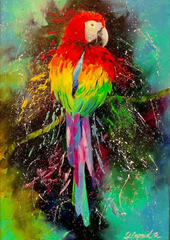 Colorful Parrot