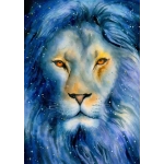 Starry Lion