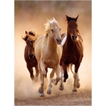 Running Horses