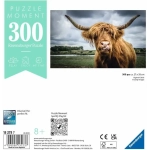 Highland Cattle