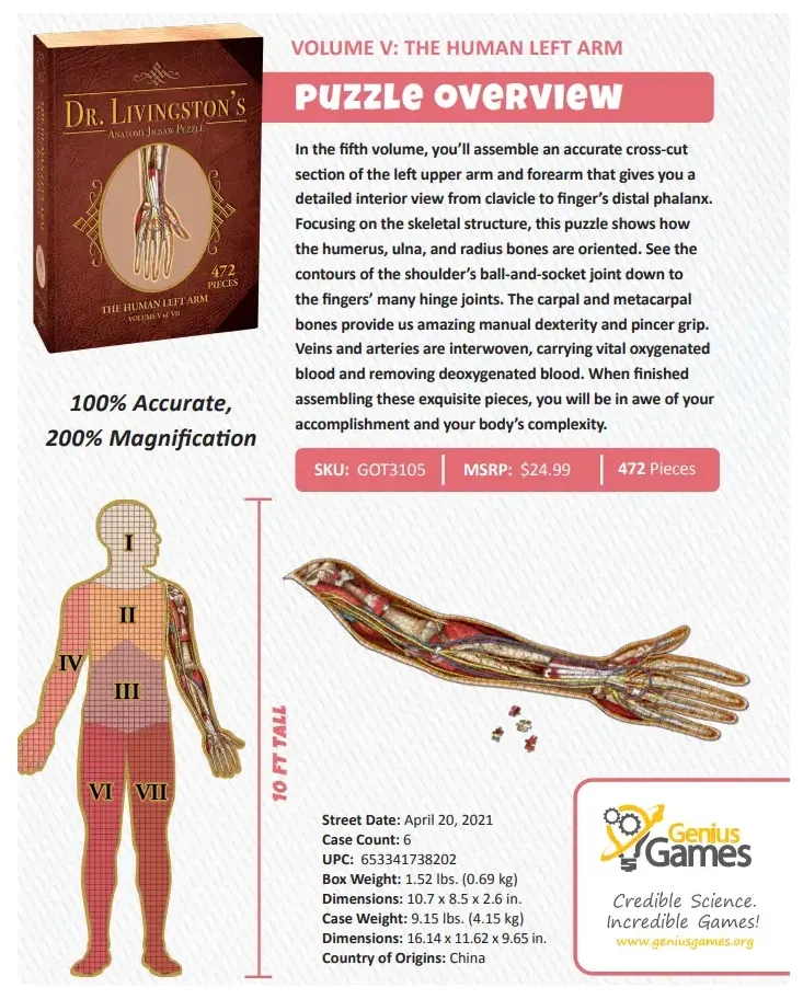 Dr. Livingstons Anatomy Jigsaw Puzzle The Human Left Arm - Volume V