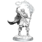 D&D Nolzur's Marvelous Miniatures Miniatur unbemalt Elf Cleric Male