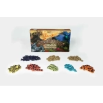 Spirit Island Expansion - Premium Token Pack - EN