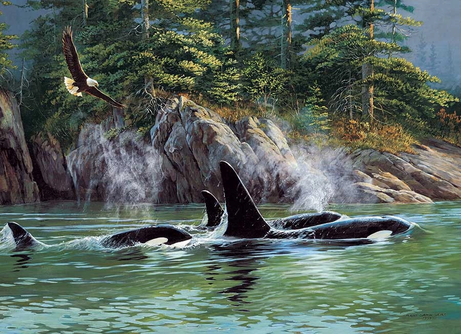 Orcas