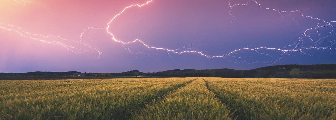 Sommergewitter - nature edition