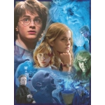 Harry Potter Puzzle Harry Potter in Hogwarts