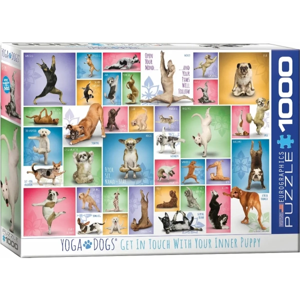 Collage - Yoga Hunde