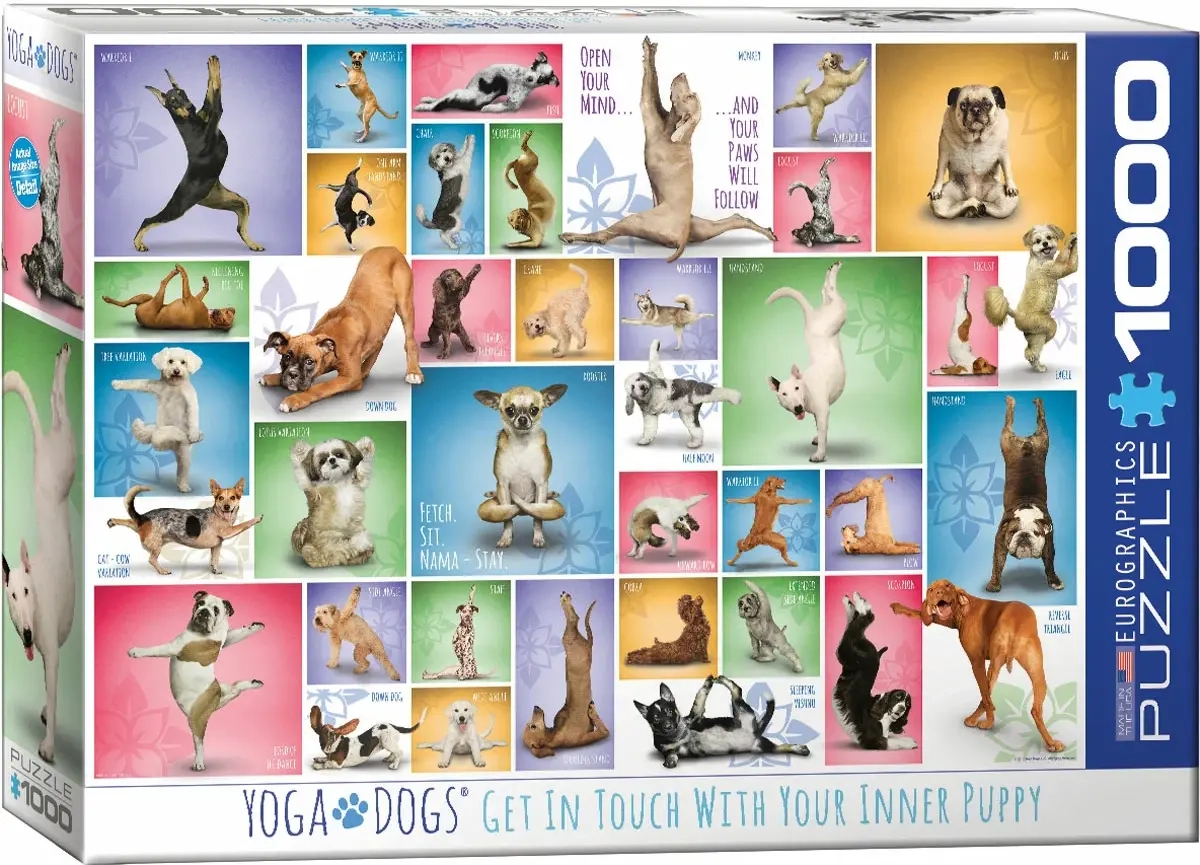 Collage - Yoga Hunde