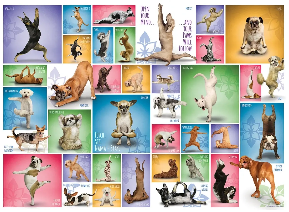 Collage - Yoga Hunde