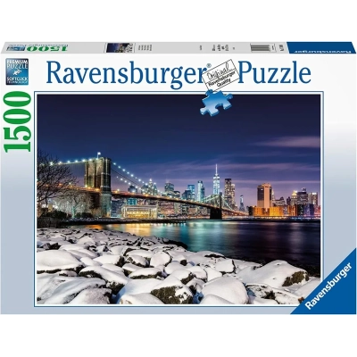 Puzzle Winter in New York