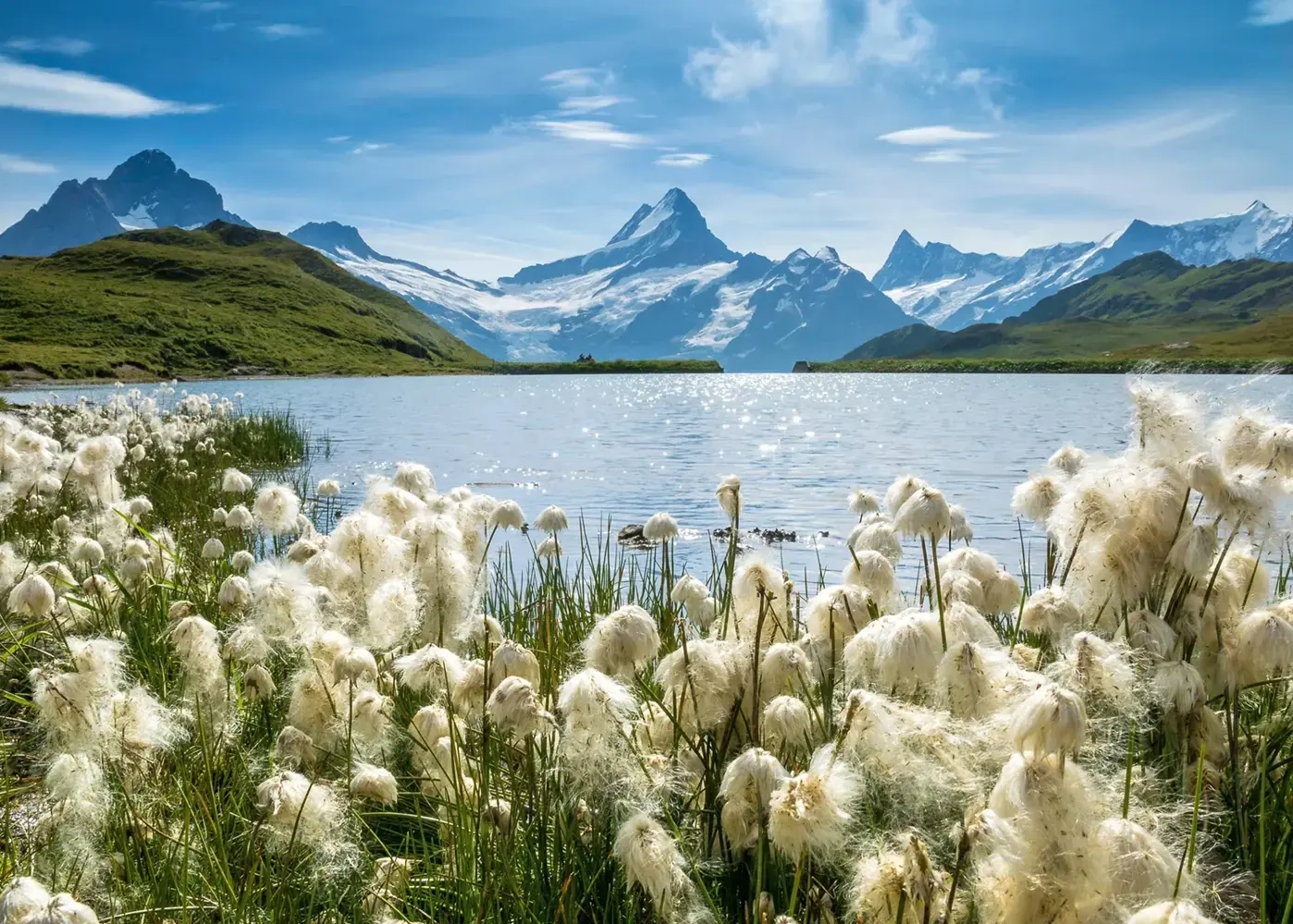 Bachalpsee Grindelwald