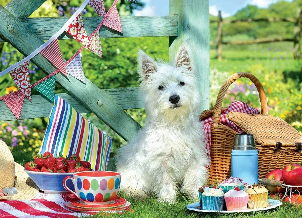 Scottie Hunde Picknick