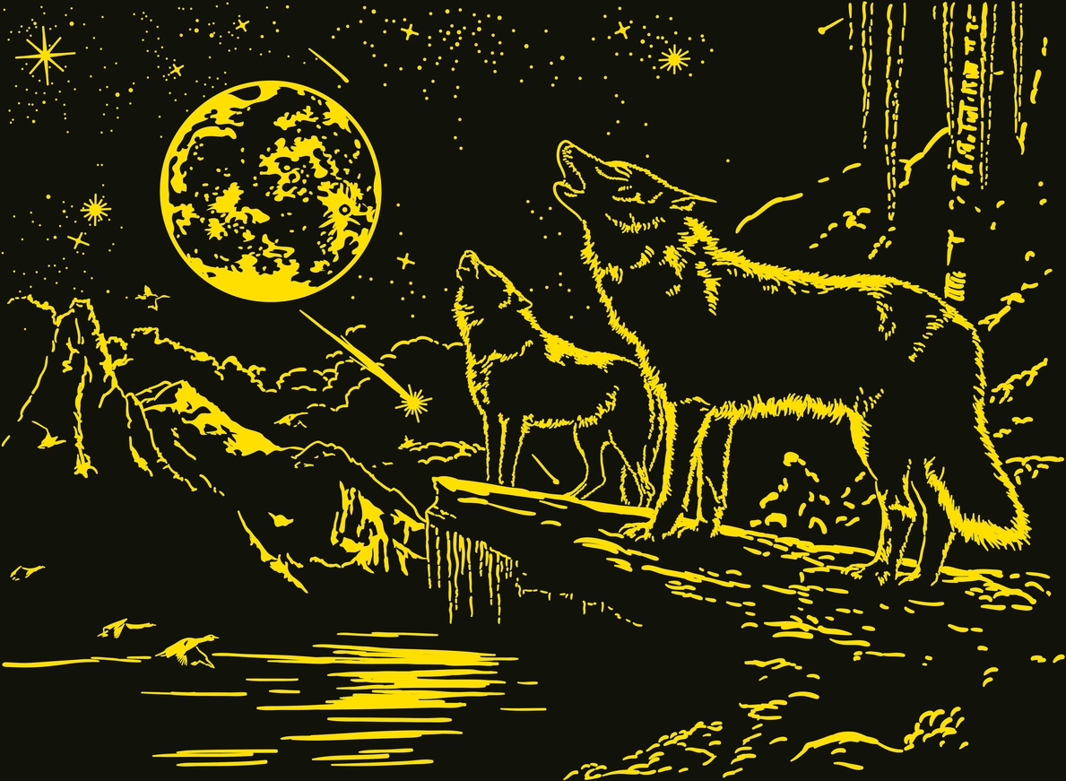 Wolf im Nordlicht - Glow in the Dark