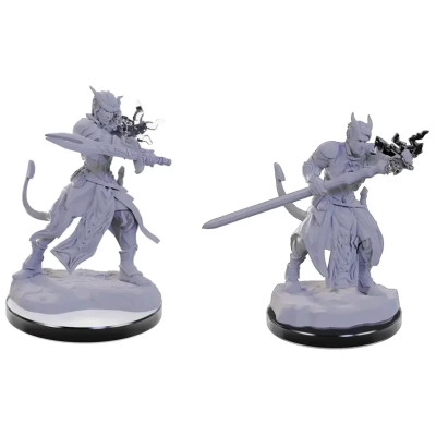 D&D Nolzur's Marvelous Miniatures: Tiefling Warlocks