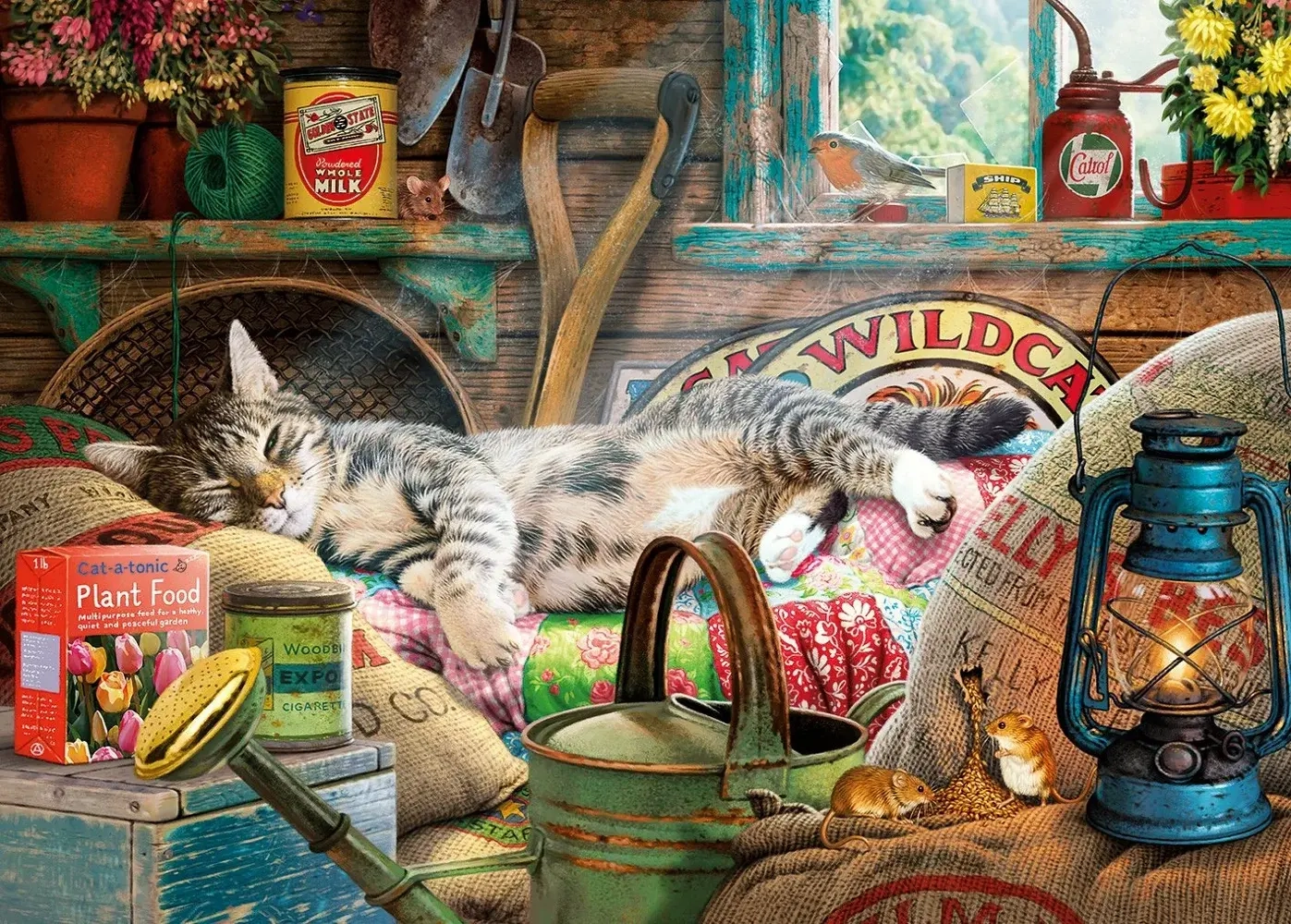 Snoozing in The Shed - Steve Read