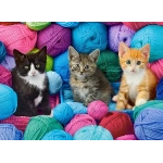 Kittens in Yarn Store