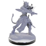 D&D Nolzur's Marvelous Miniatures: Tiefling Warlocks