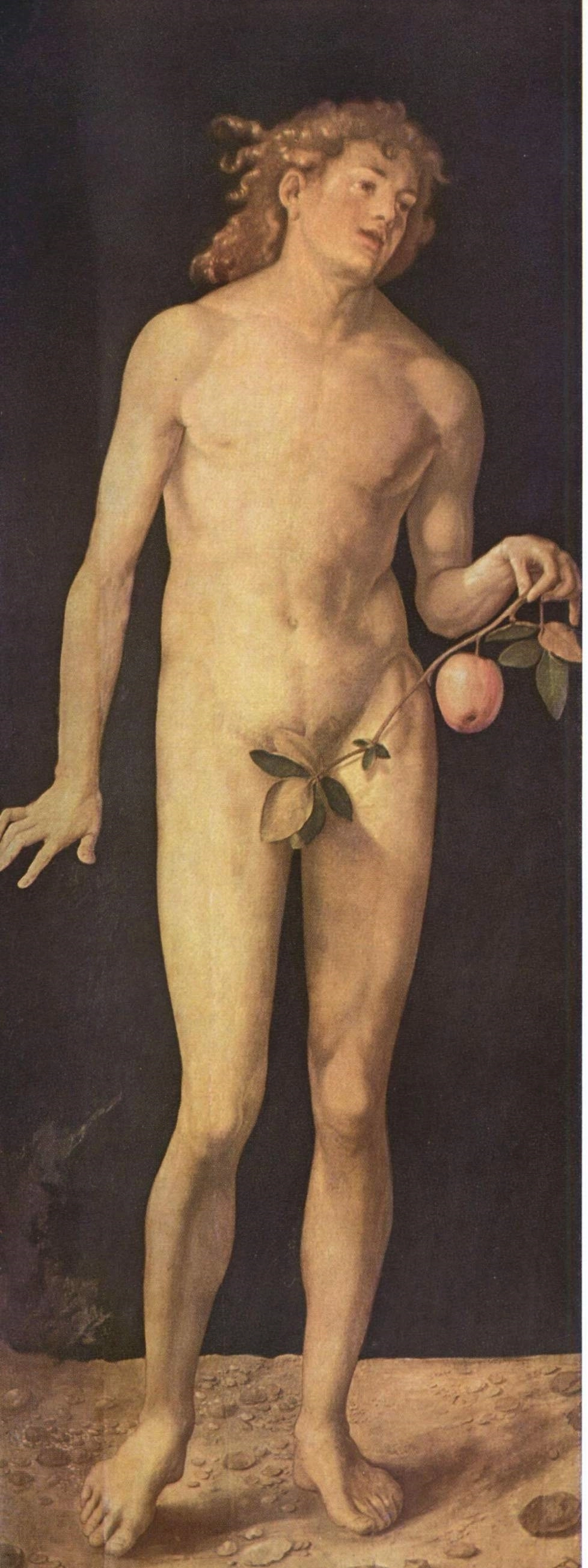 Adam - Albrecht Dürer