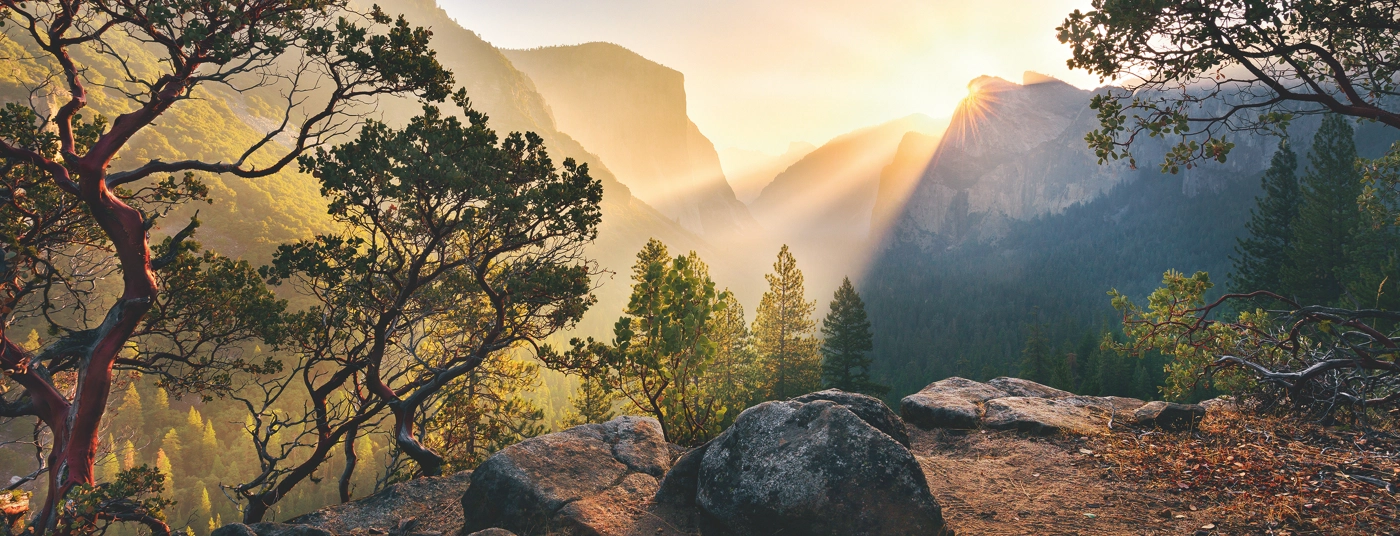 Yosemite Park