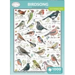 Birdsong