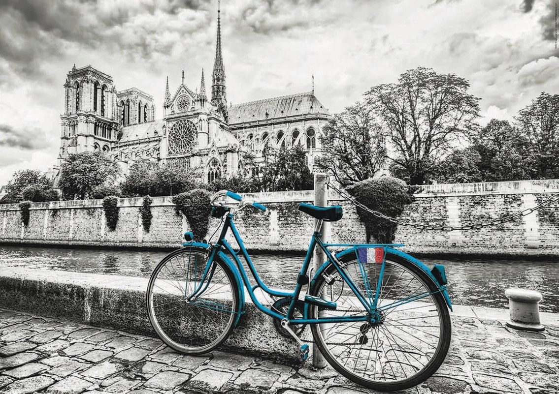 Bike near Notre Dame