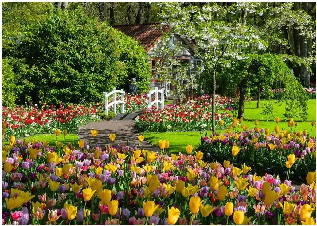 Keukenhof Gardens - Niederlande