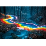 Rainbow Road - Magic Forests