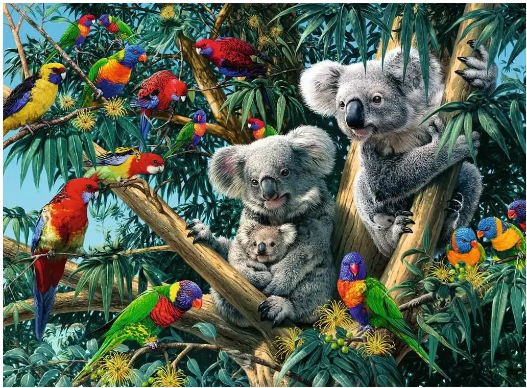 Koalas im Baum