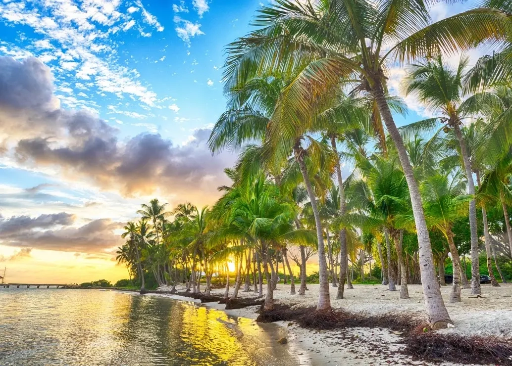 Guadeloupe - Anse Champagne