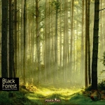 Black Forest - DE