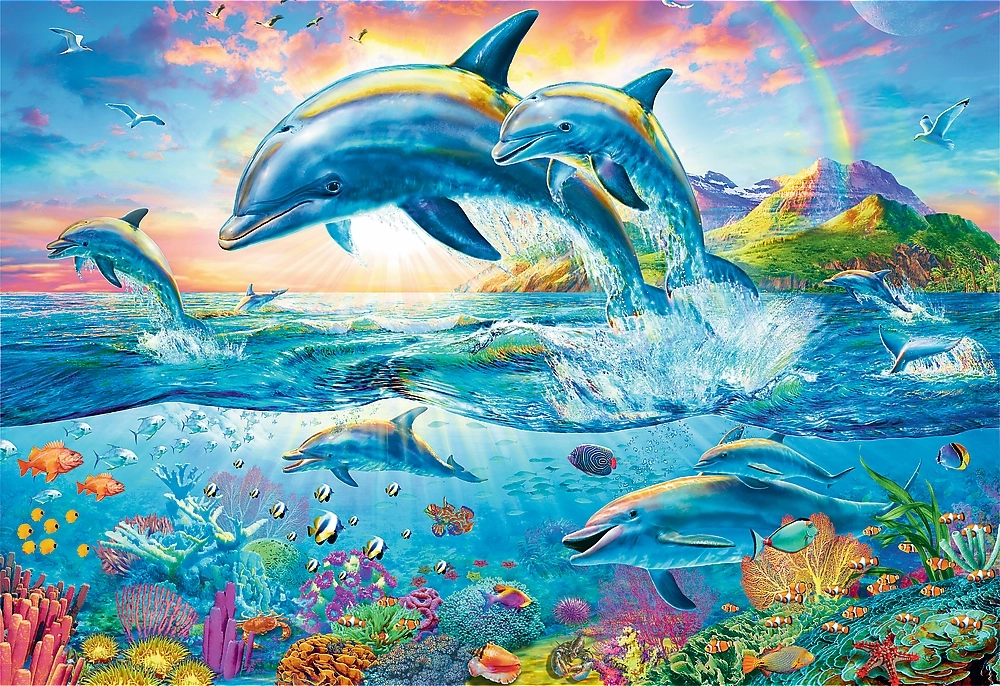 Dolphin Family