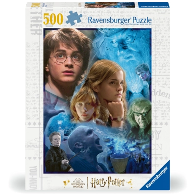 Harry Potter Puzzle Harry Potter in Hogwarts