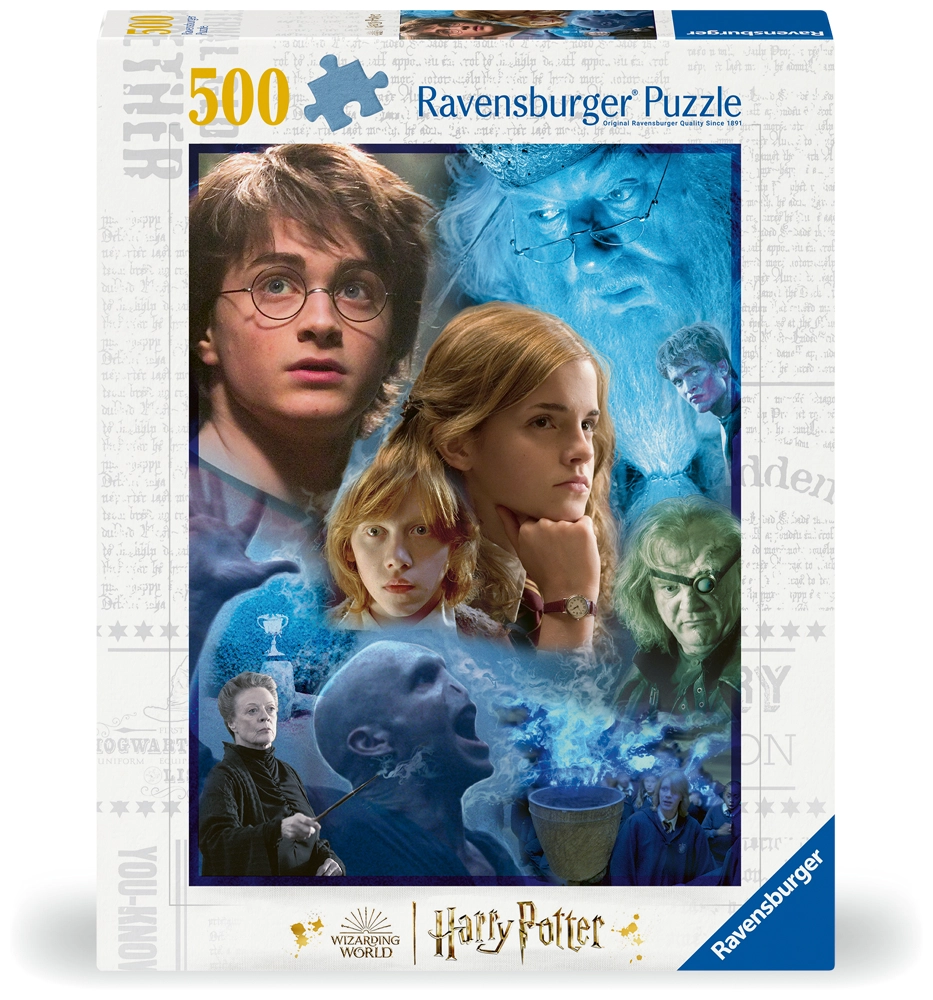 Harry Potter Puzzle Harry Potter in Hogwarts